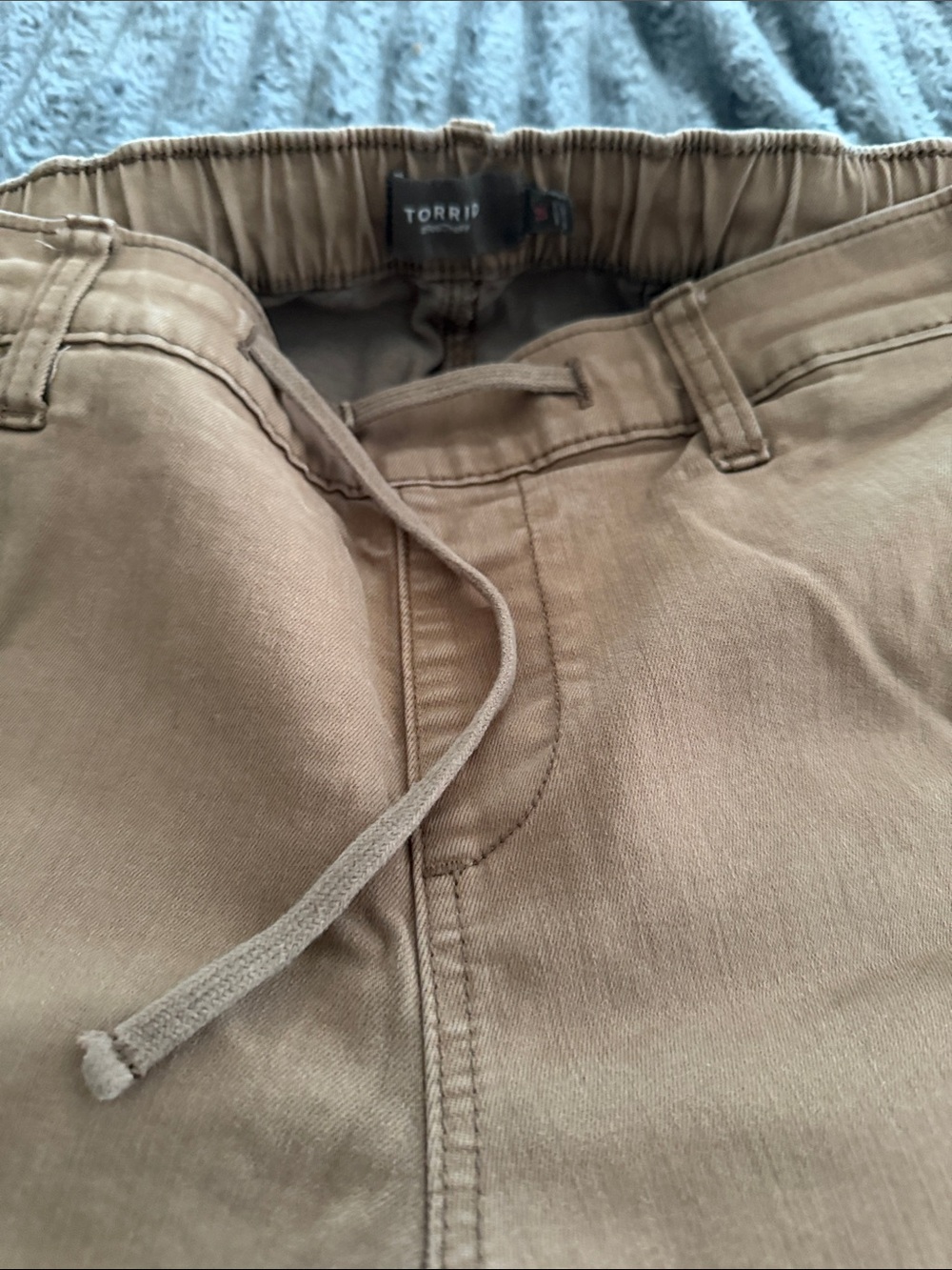 Torrid Tan Drawstring Pants